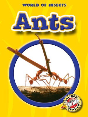 cover image of Ants